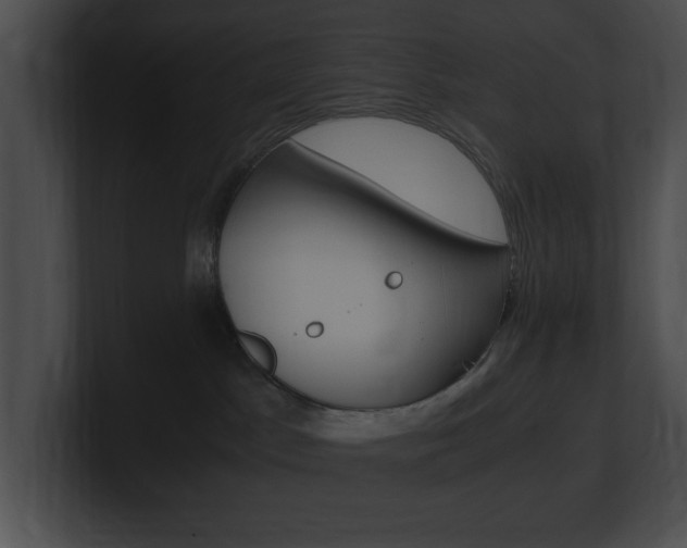 X0000101170045200806270802