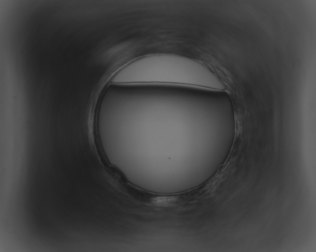 X0000101170051200806270802