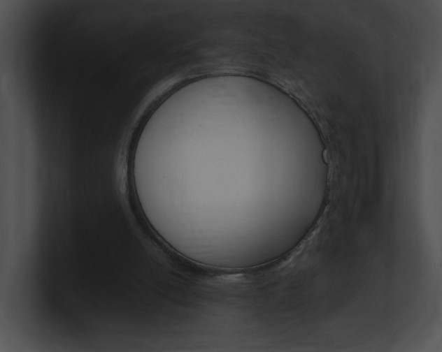X0000101170054200806270802