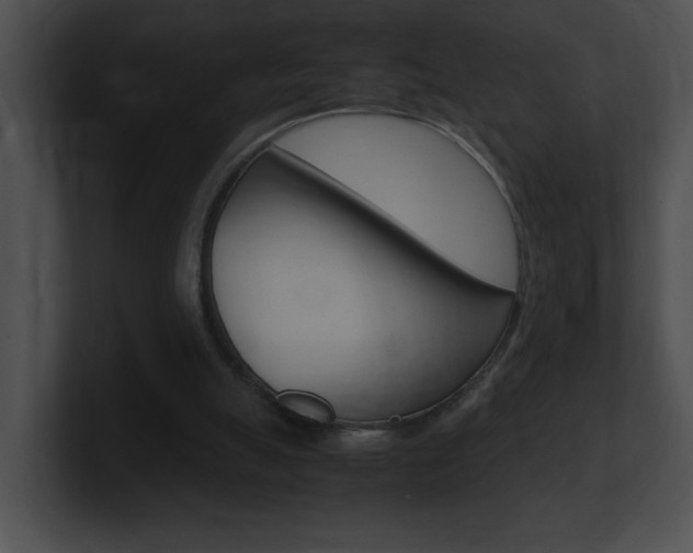 X0000101170055200806270802
