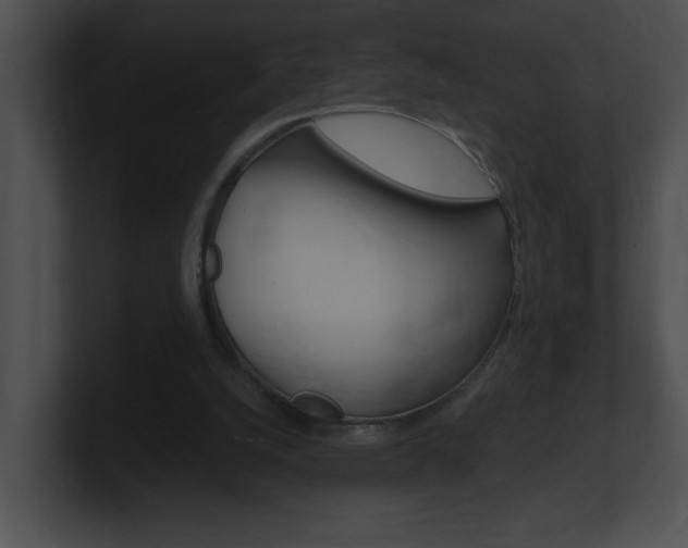 X0000101170056200806270802