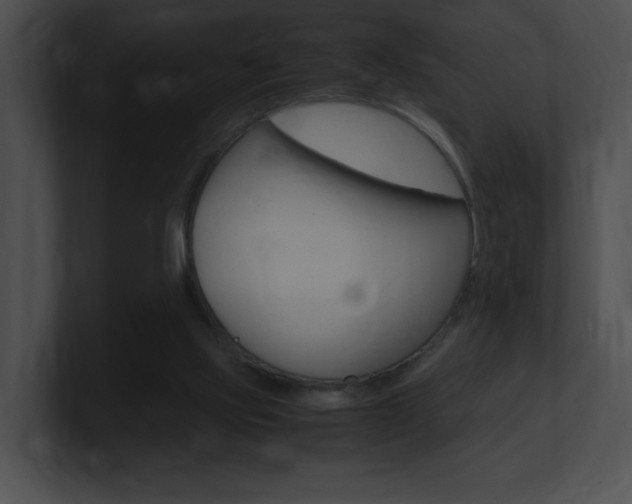 X0000101170061200806270802