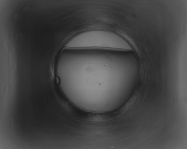 X0000101170062200806270802