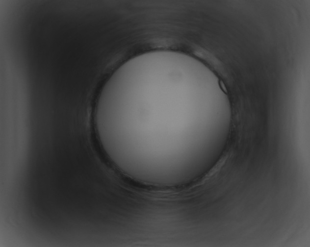 X0000101170066200806270802