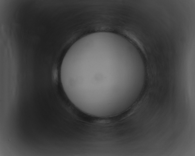 X0000101170067200806270802