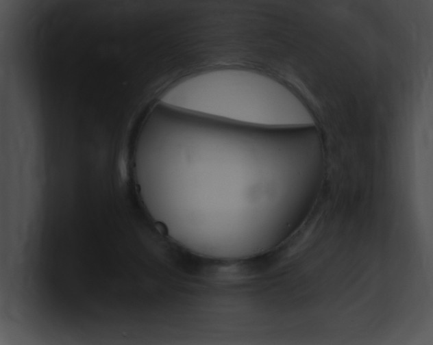 X0000101170068200806270802