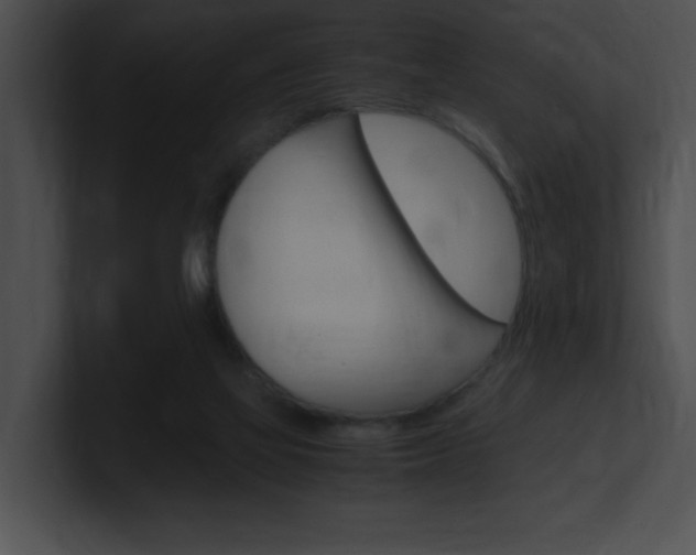 X0000101170069200806270802