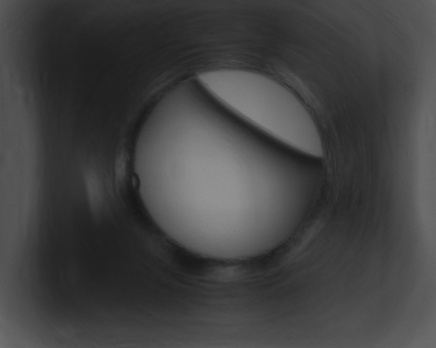 X0000101170071200806270802