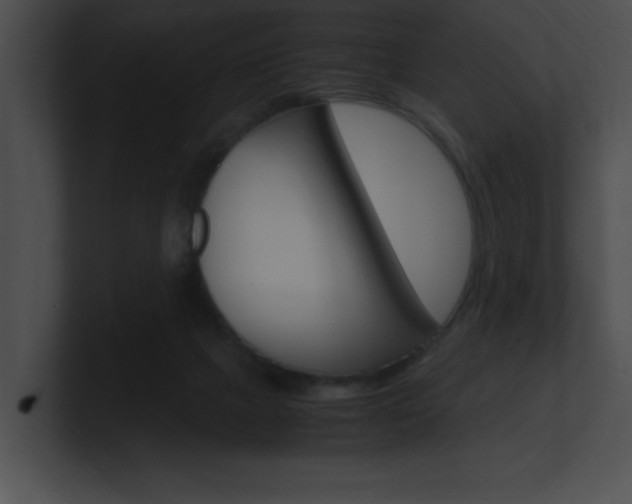 X0000101170073200806270802