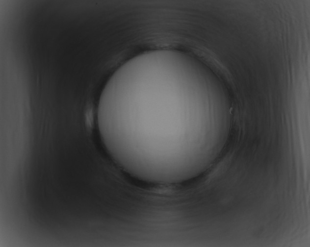 X0000101170076200806270802