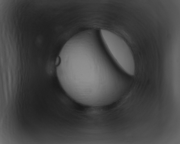 X0000101170077200806270802