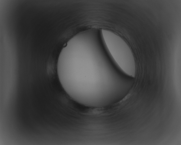 X0000101170078200806270802