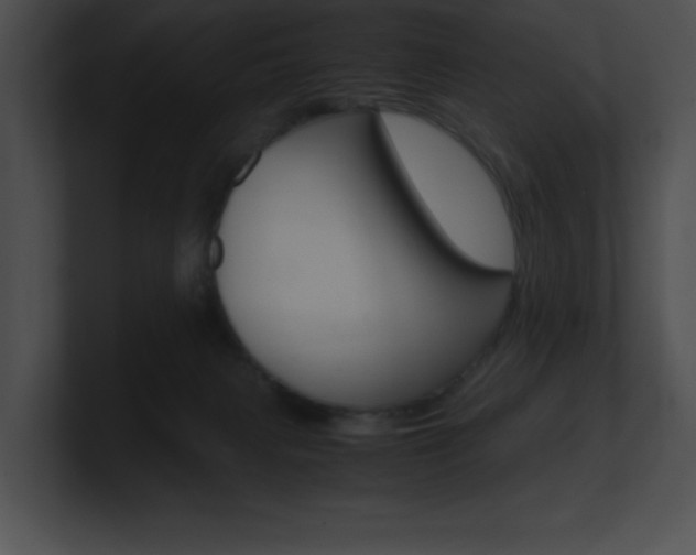 X0000101170079200806270802