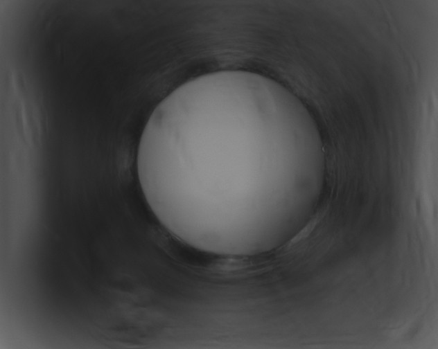 X0000101170082200806270802