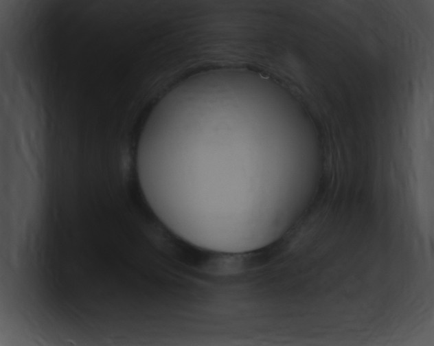 X0000101170084200806270802