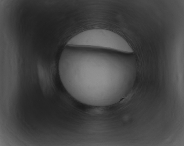 X0000101170086200806270802