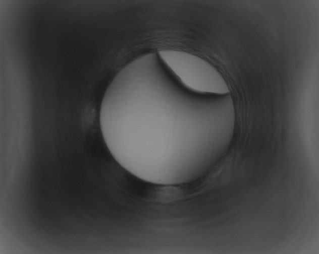X0000101170087200806270802