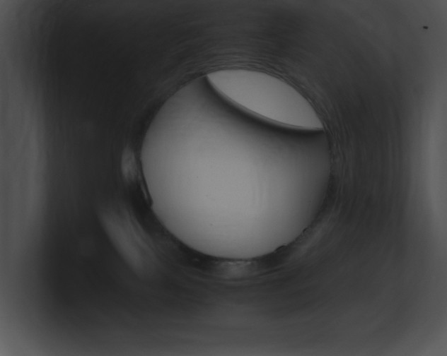 X0000101170089200806270802