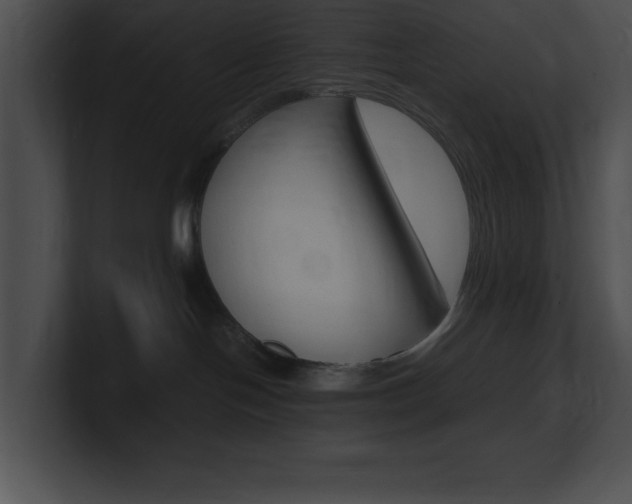 X0000101170094200806270802