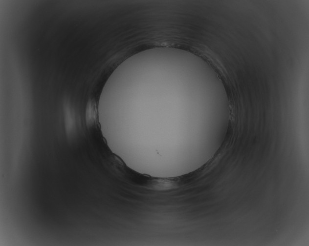 X0000101170095200806270802