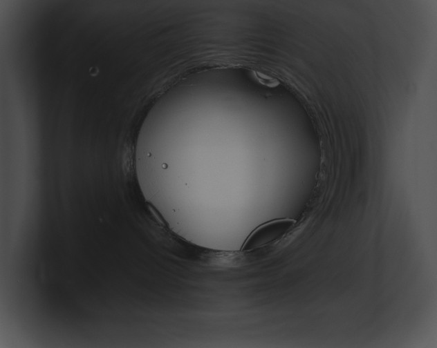 X0000101170096200806270802