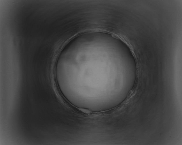 X0000101170097200806270802