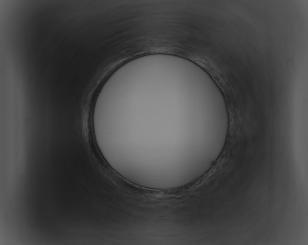 X0000101170098200806270802