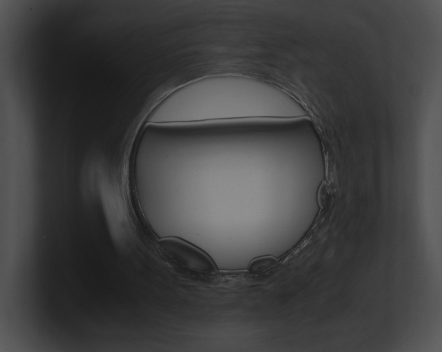 X0000101170099200806270802