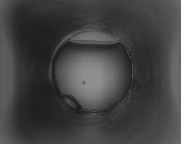X0000101170100200806270802