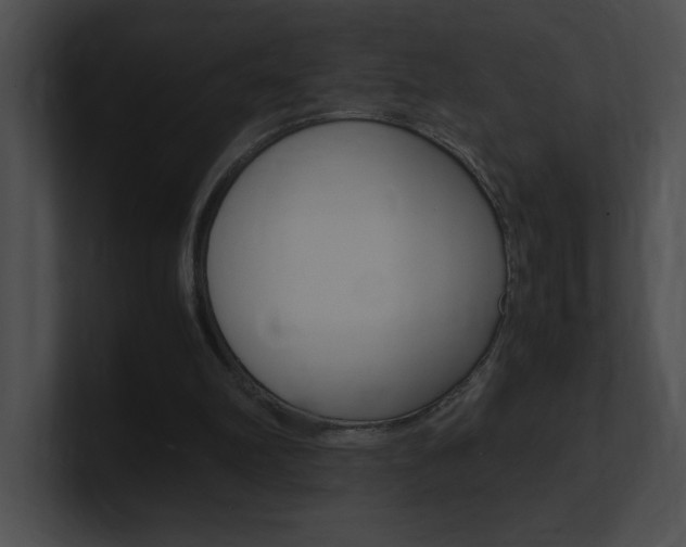 X0000101170102200806270802