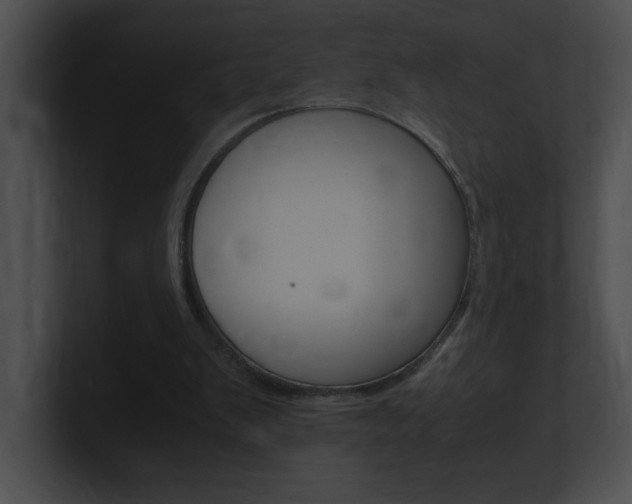 X0000101170103200806270802