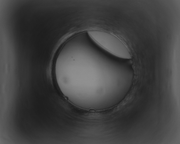 X0000101170104200806270802