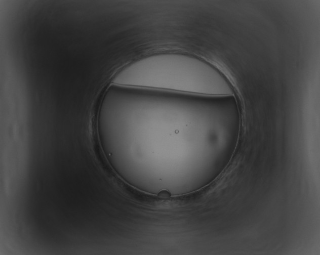 X0000101170105200806270802