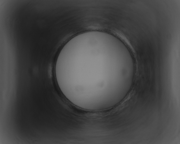 X0000101170106200806270802