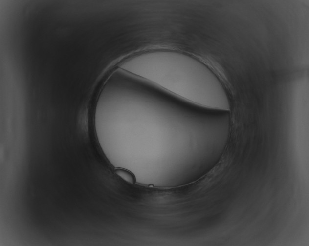 X0000101170108200806270801