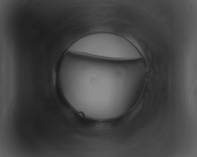 X0000101170109200806270801