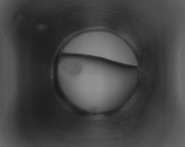 X0000101170112200806270801