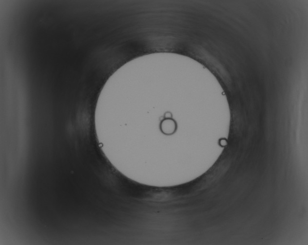 X0000101170113200806270801