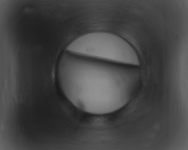 X0000101170115200806270801