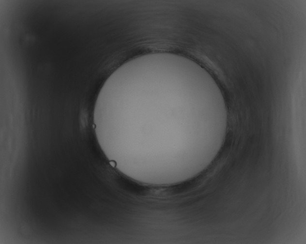 X0000101170117200806270801