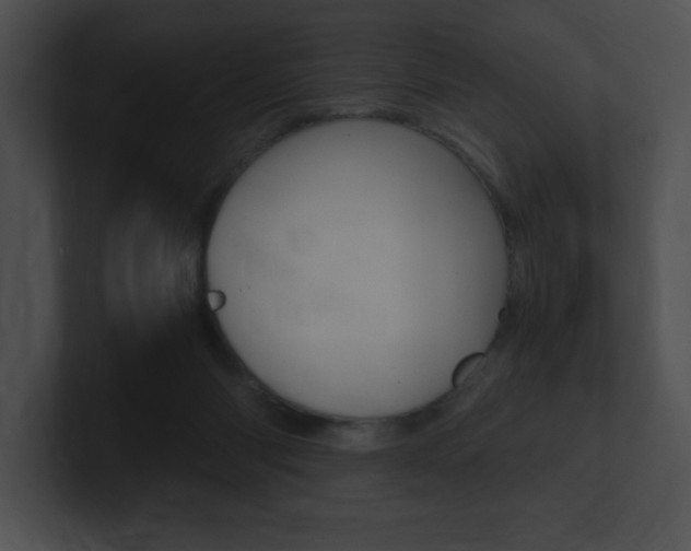 X0000101170118200806270801