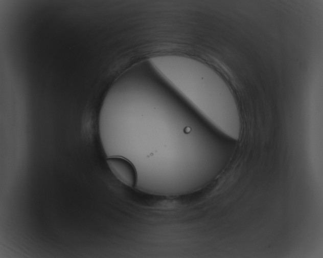 X0000101170119200806270801