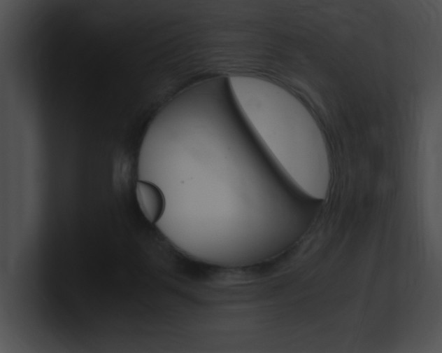 X0000101170123200806270801