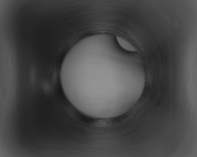 X0000101170126200806270801