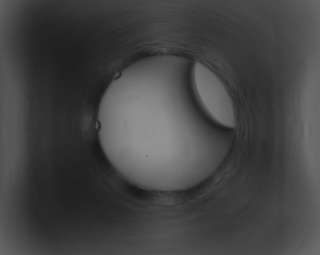 X0000101170127200806270801