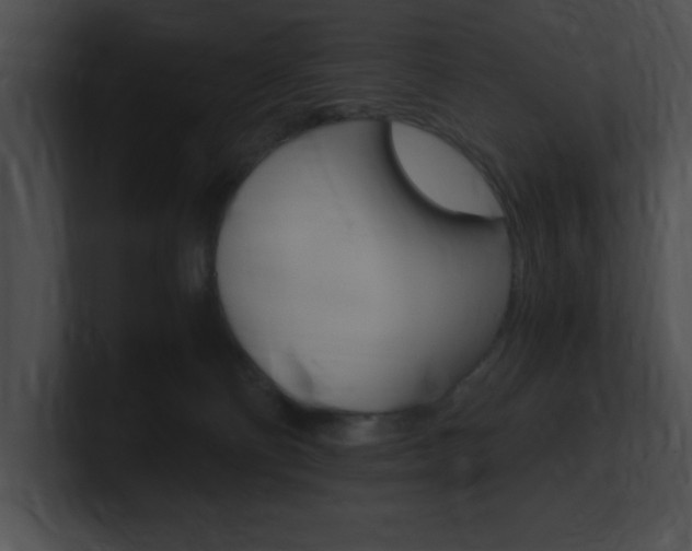 X0000101170130200806270801