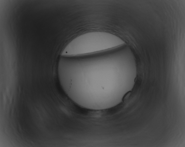 X0000101170131200806270801