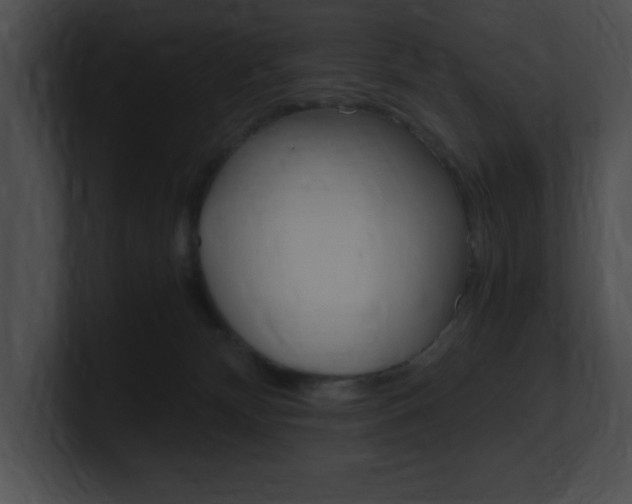 X0000101170132200806270801