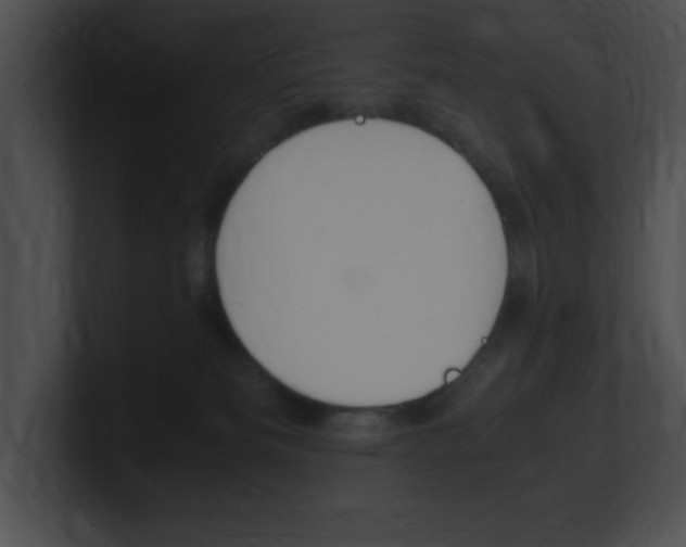 X0000101170133200806270801