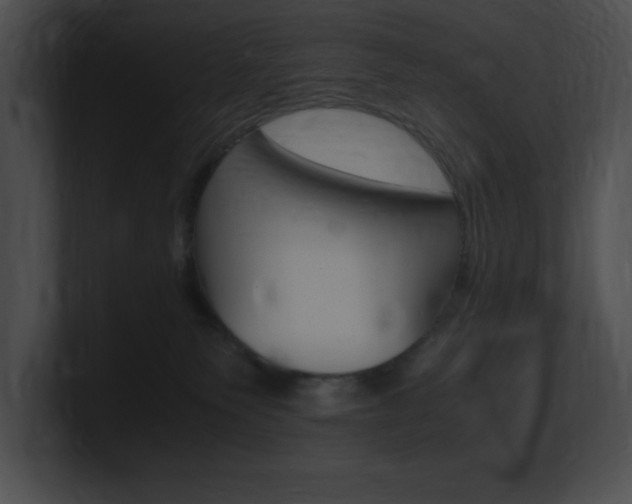 X0000101170135200806270801